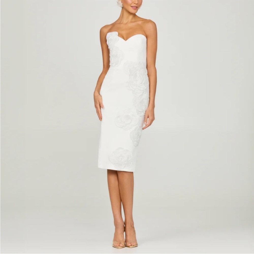 Anthropologie HELSI Kaia 3D Floral Appliqué Strapless Midi Dress